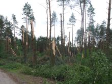 Nawałnica nad Golubiem-Dobrzyniem