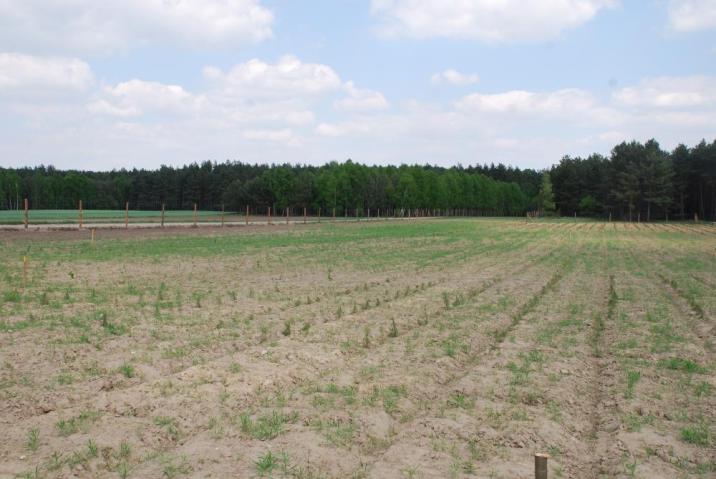 Lasy niepaństwowe fot. J. Molendowski