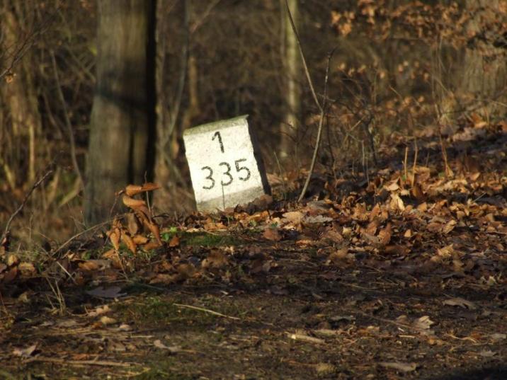 Słupek oddziałowy fot. J. Jagielski